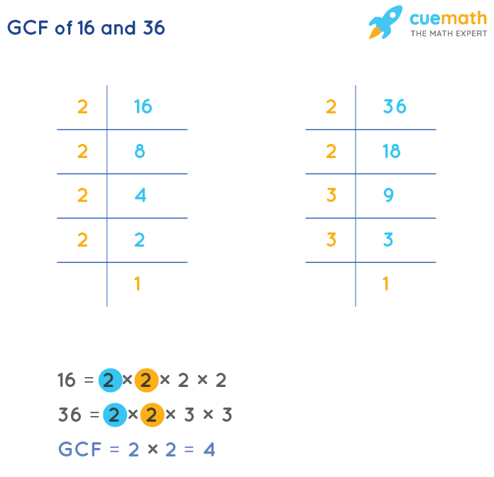 GCF Of 16 And 36 How To Find GCF Of 16 36 