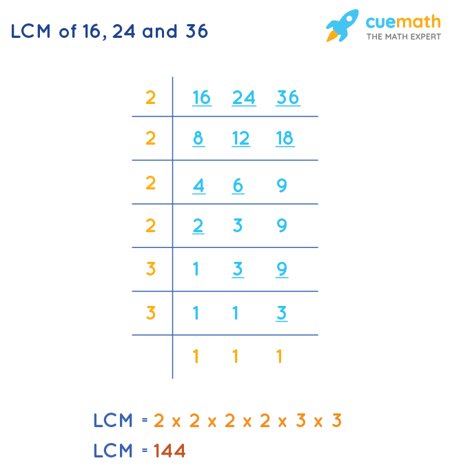 LCM of 16, 24, and 36 by Division Method