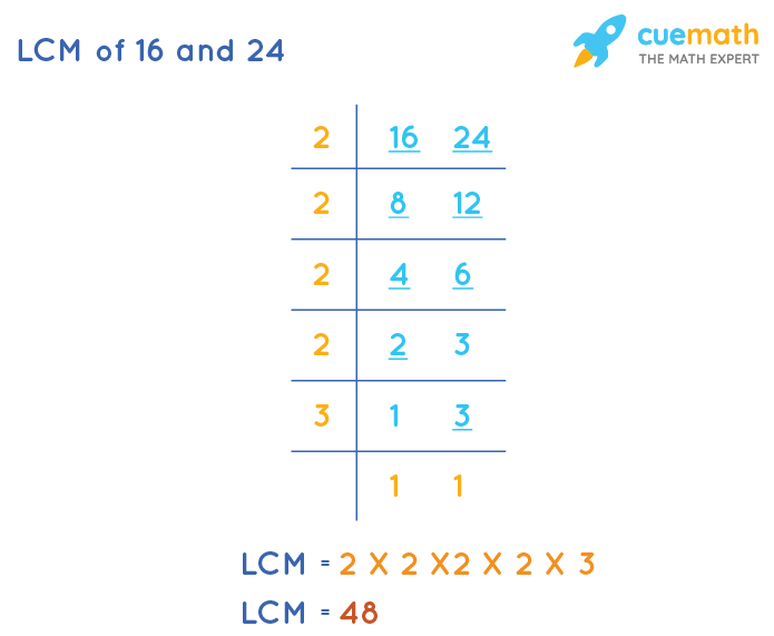 LCM of 16 and 24 by Division Method