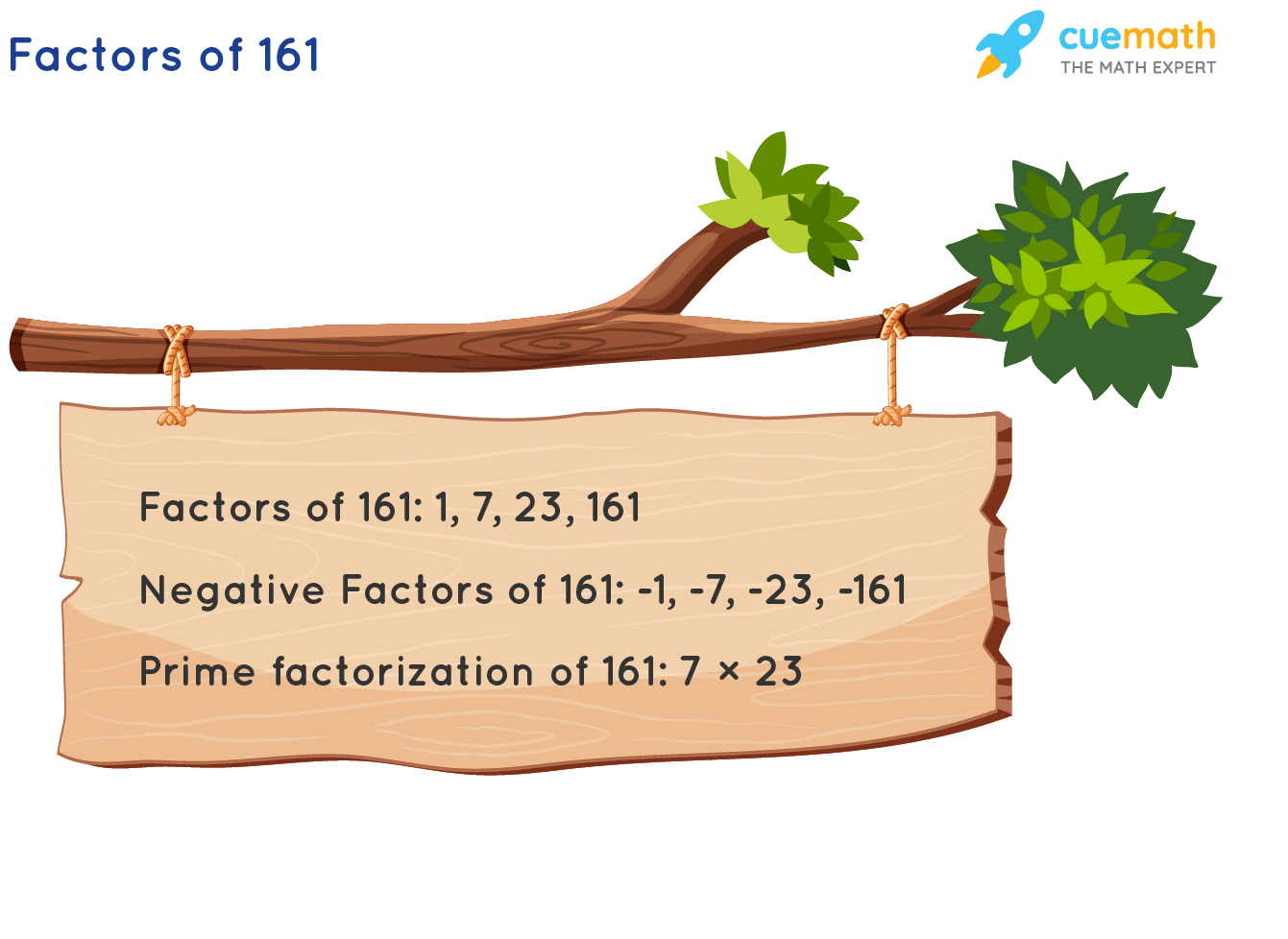 Factors of 161