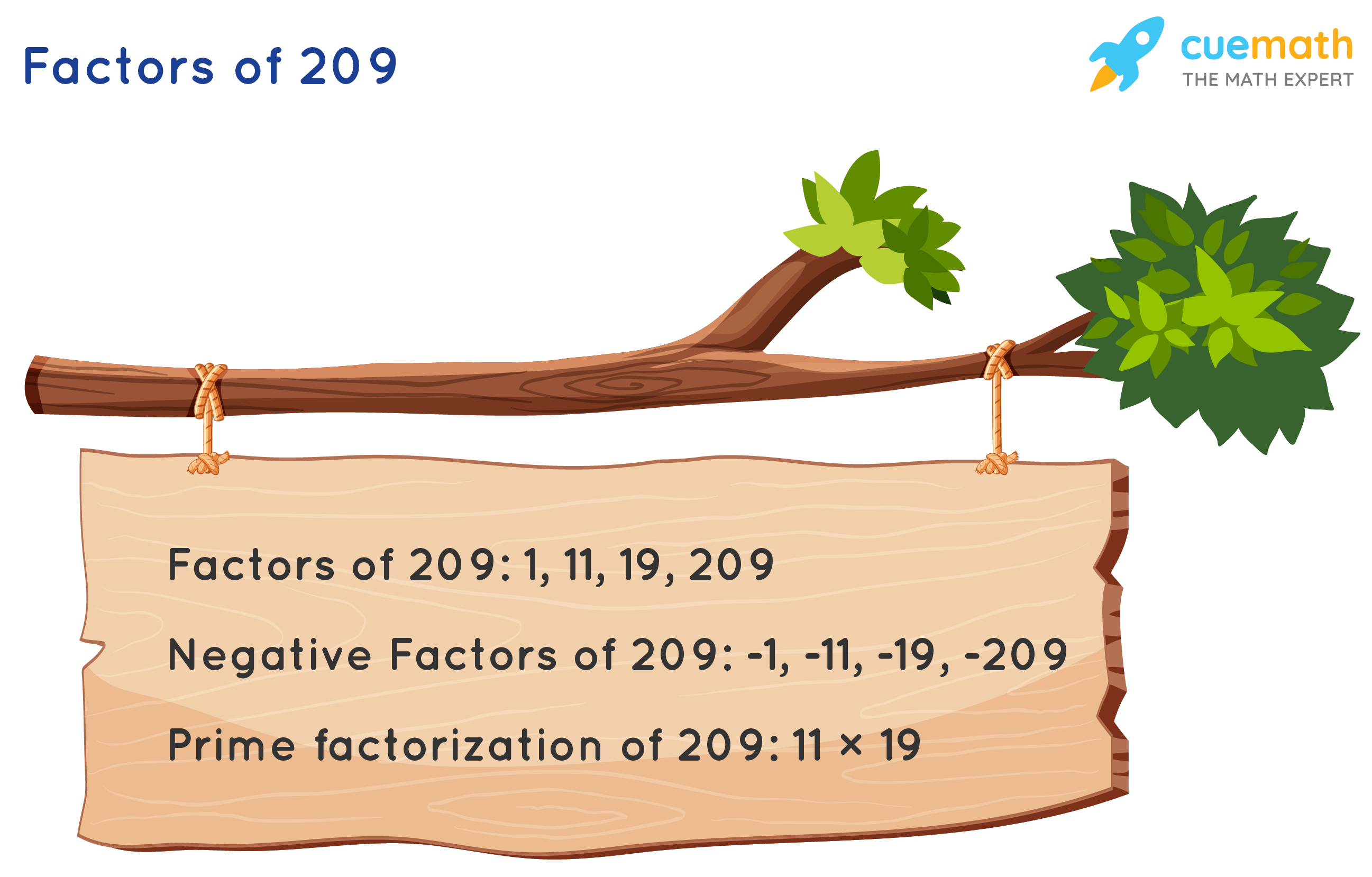 Factors of 209