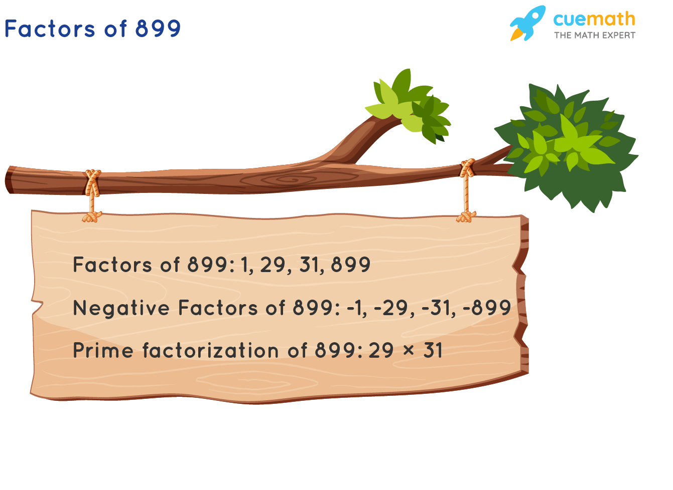 Factors of 899
